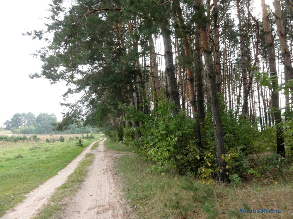 Житомирский район