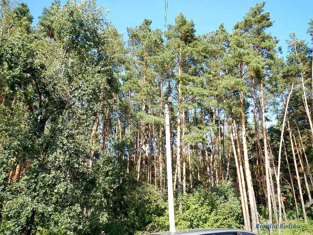 Житомирский район