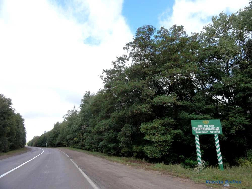 Коростенский район
