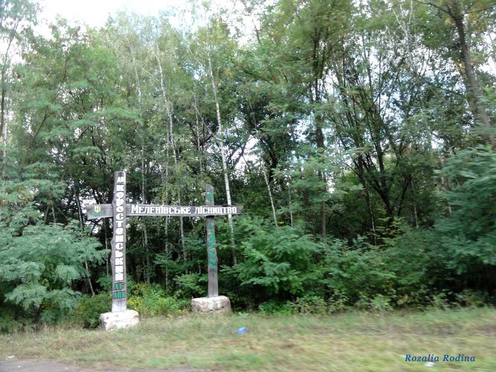 Коростенский район