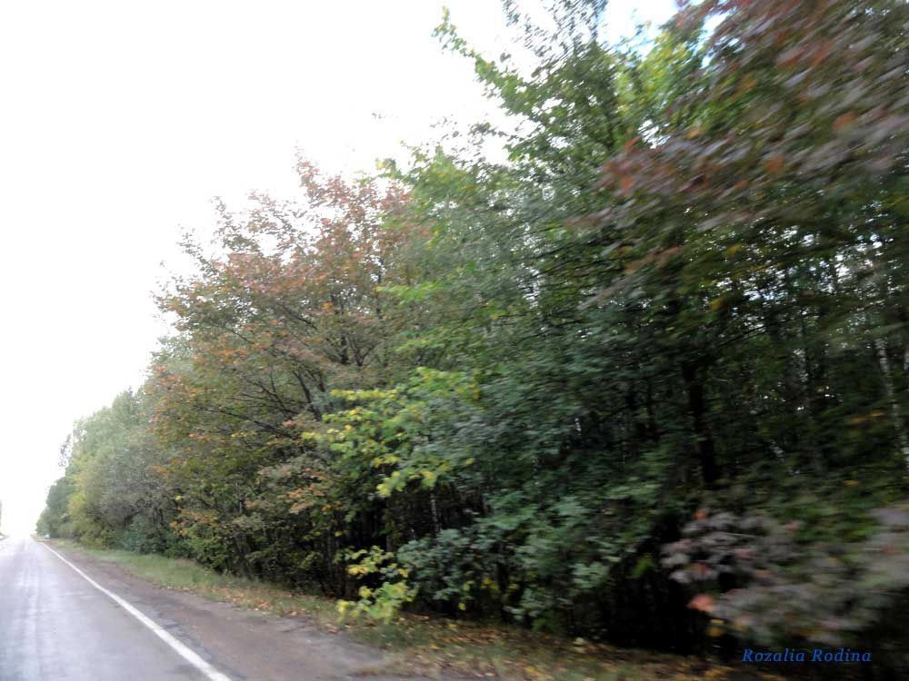 Коростенский район