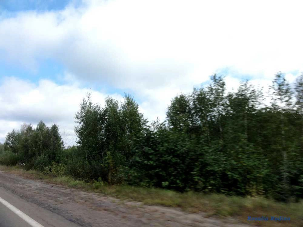 Коростенский район