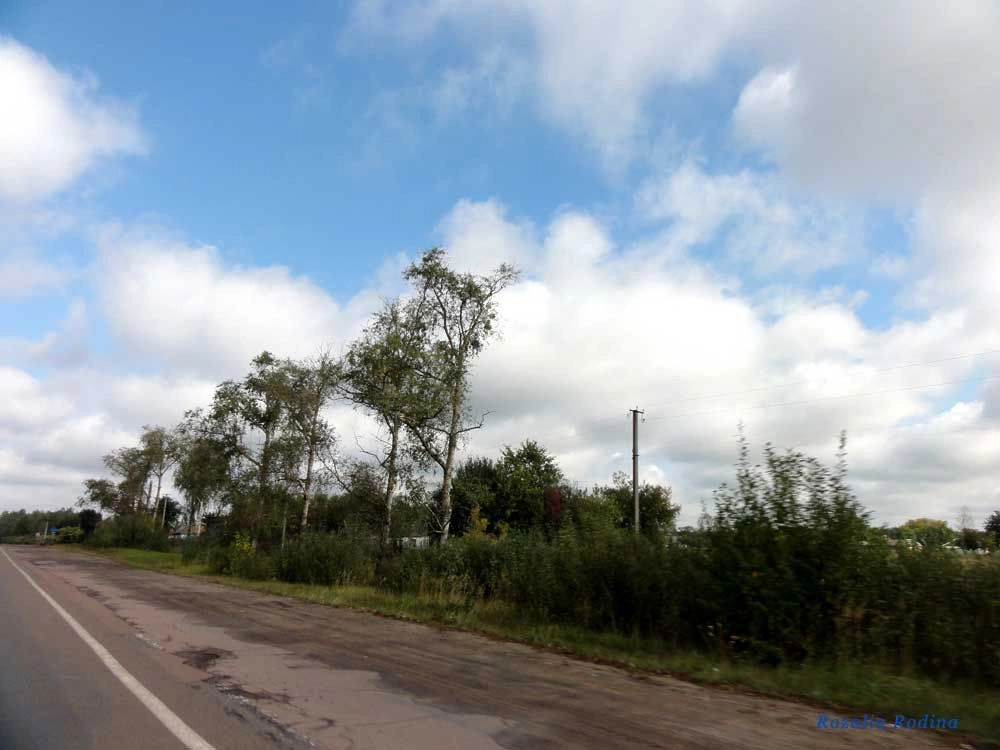 Коростенский район