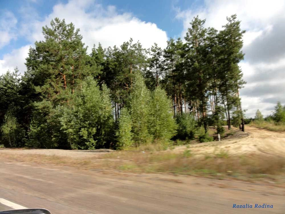 Коростенский район