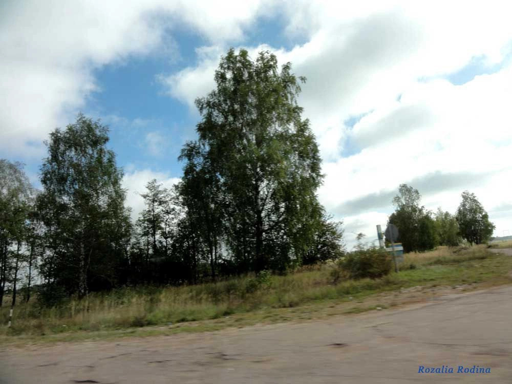 Коростенский район