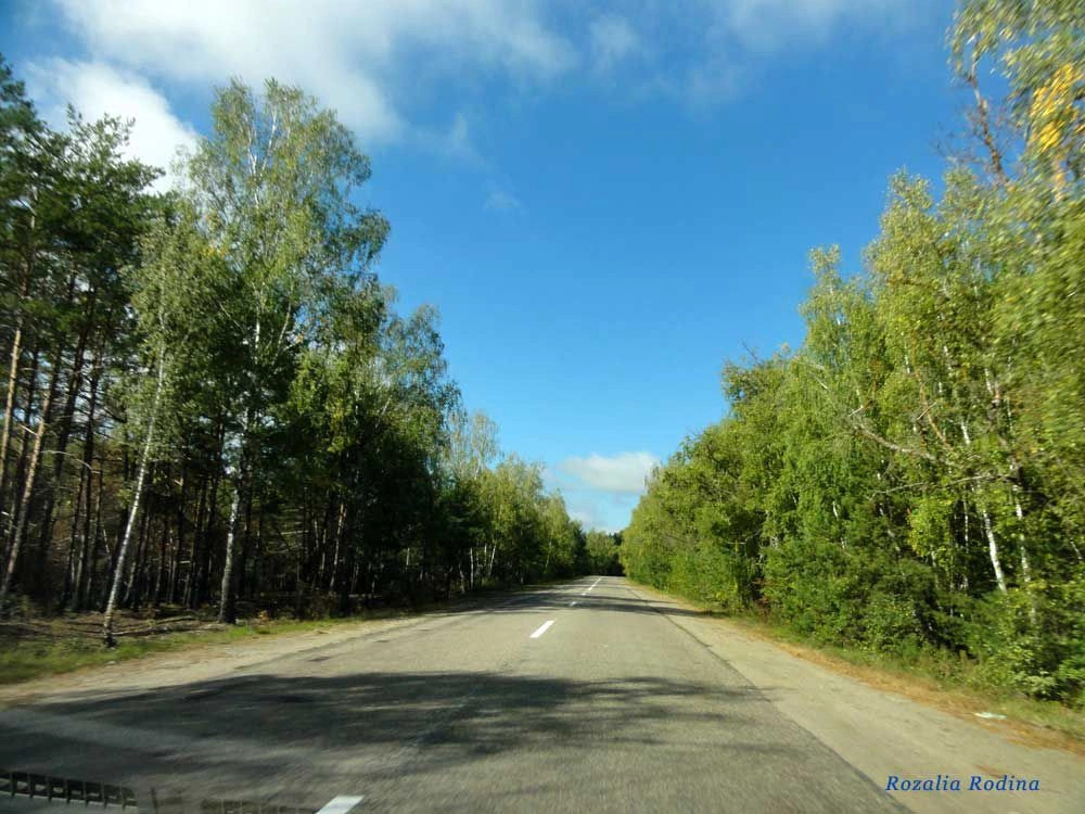 Коростенский район