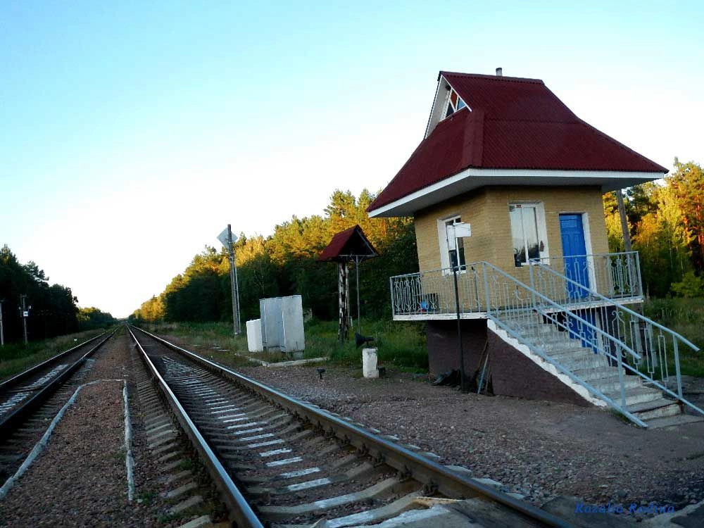 Овручский район