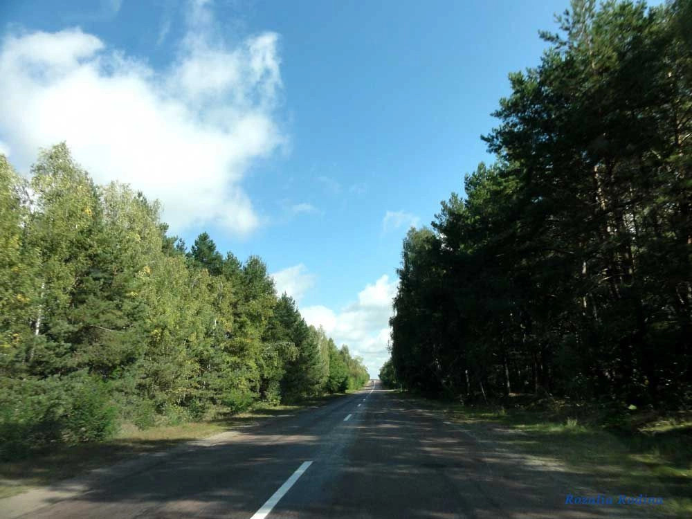 Овручский район