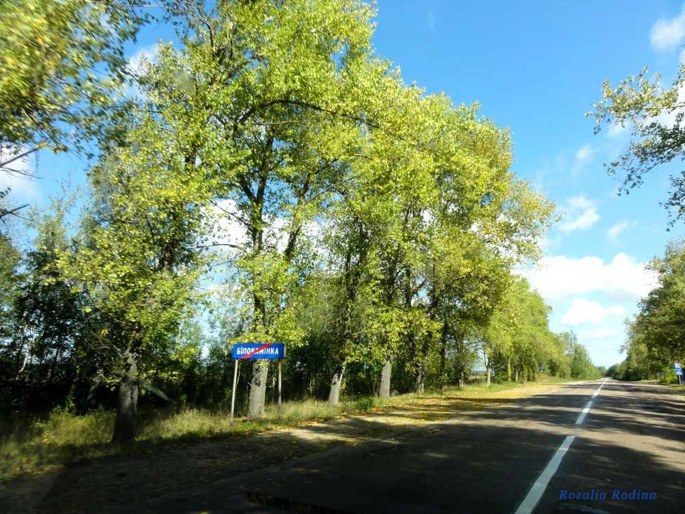 Овручский район