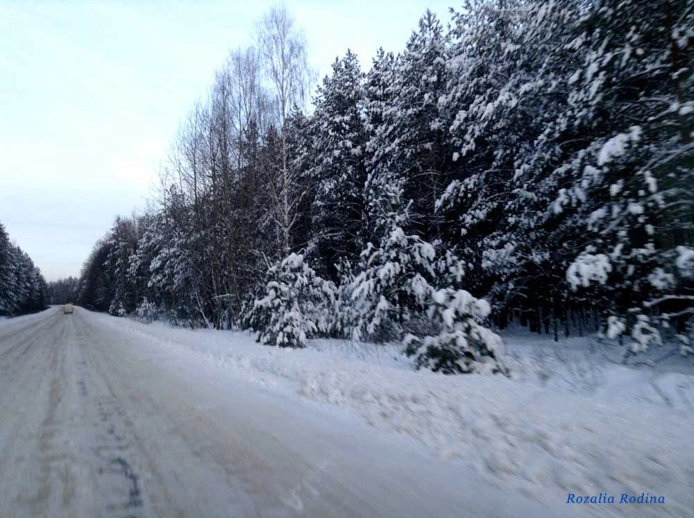Овручский район