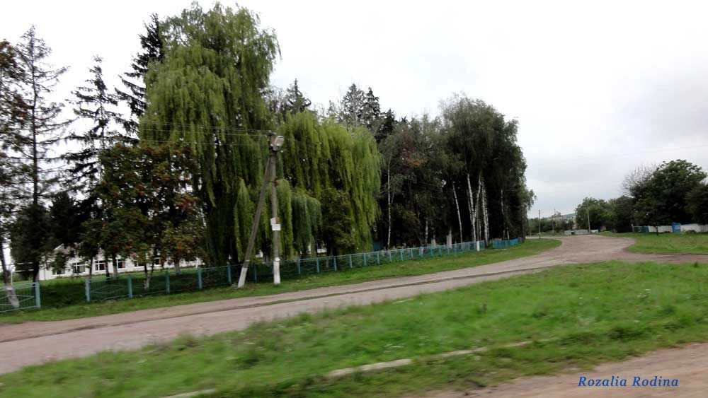 Попельнянский район