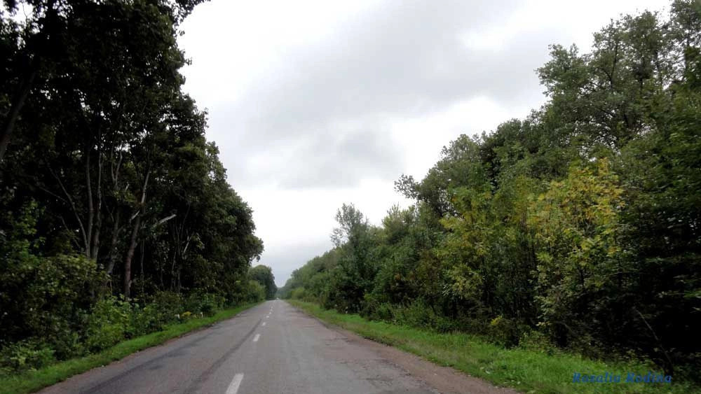 Попельнянский район