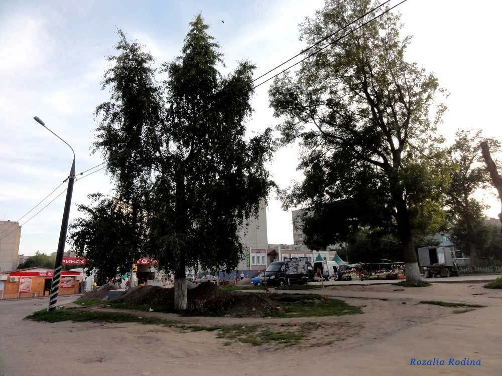 Бердичев