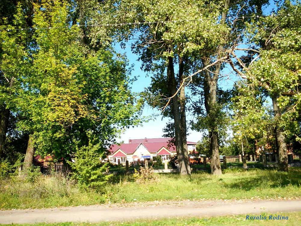 Бердичев
