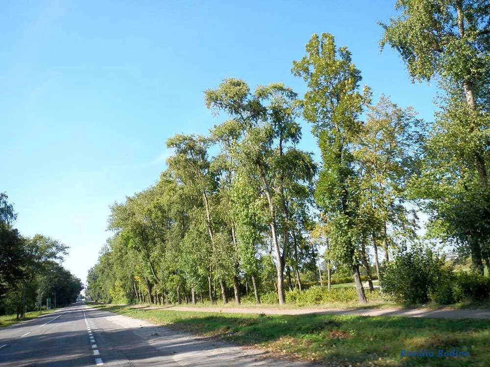 Бердичев