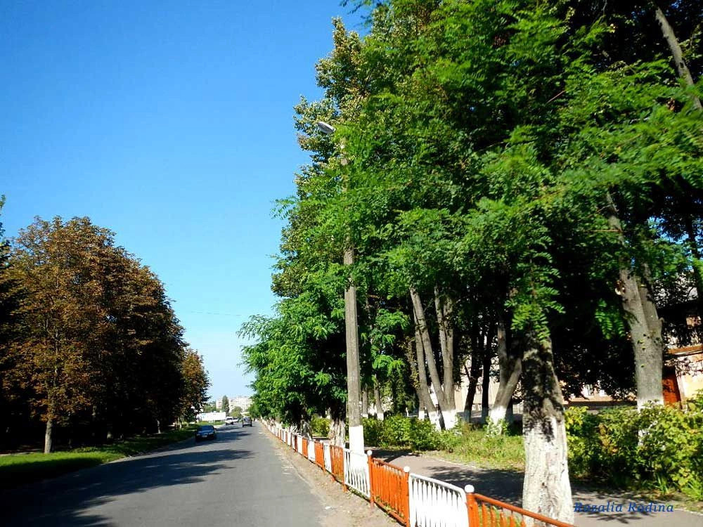Бердичев