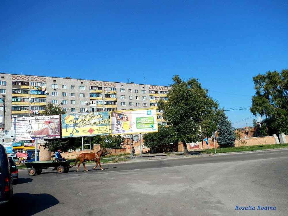 Бердичев