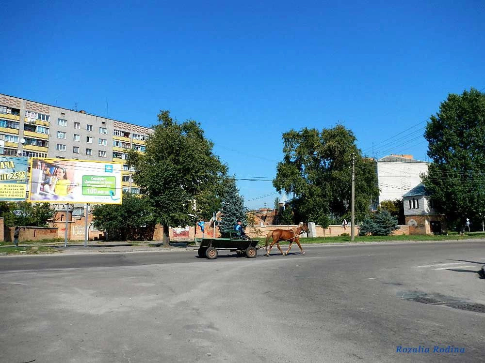 Бердичев