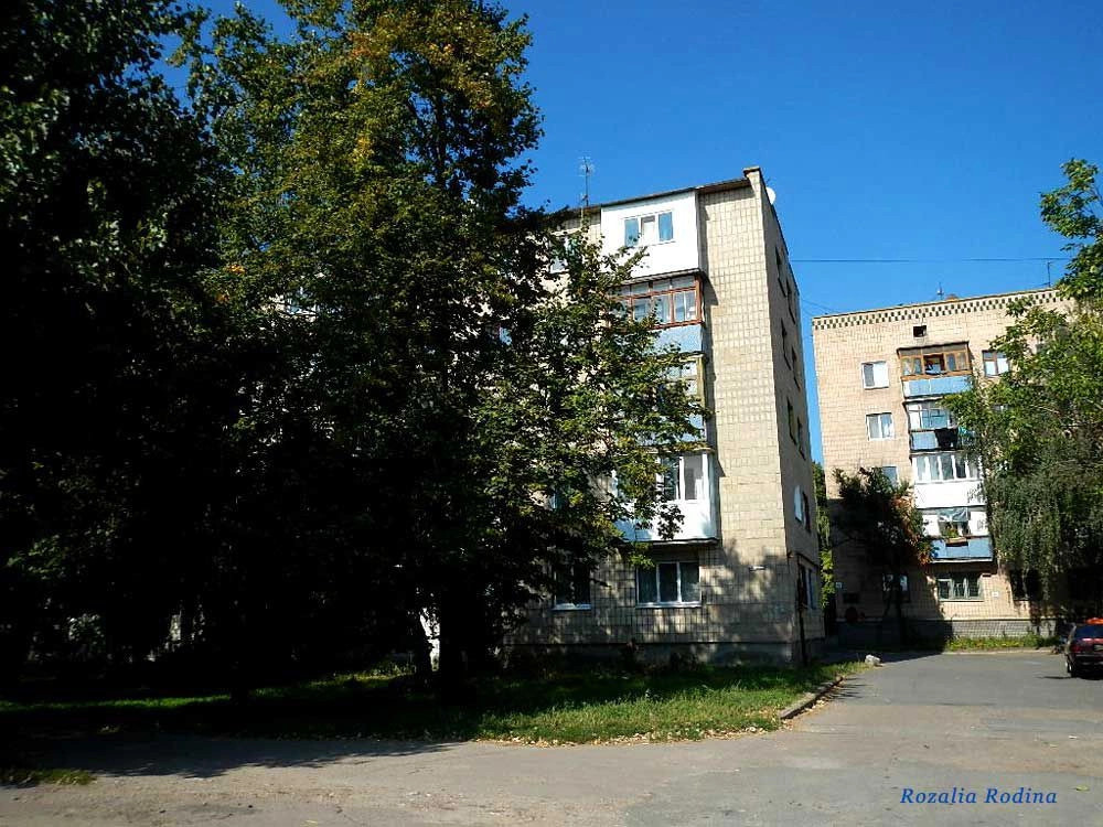 Бердичев