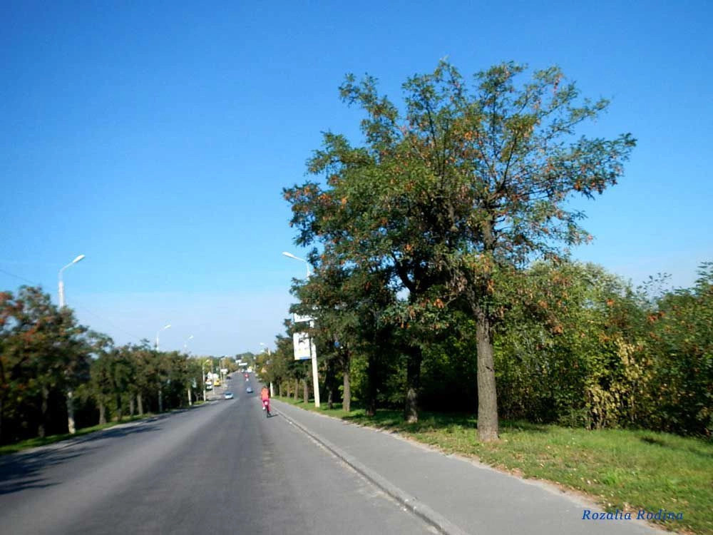 Бердичев