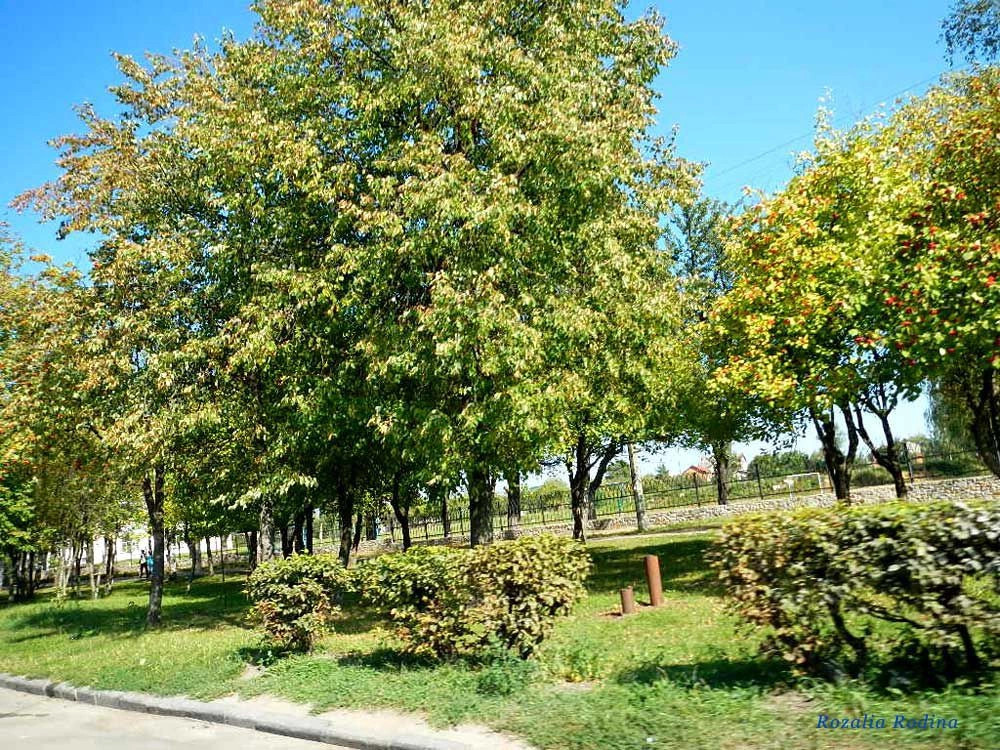 Бердичев