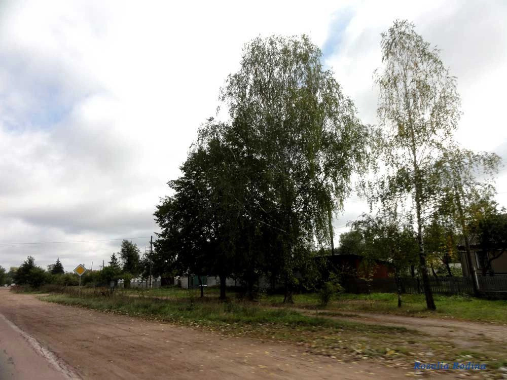 Коростень