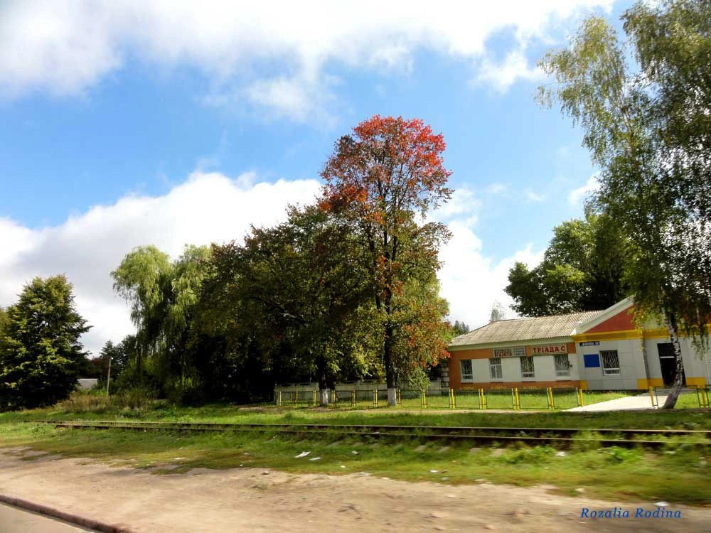 Коростень