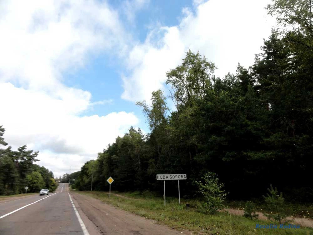 Новая Боровая