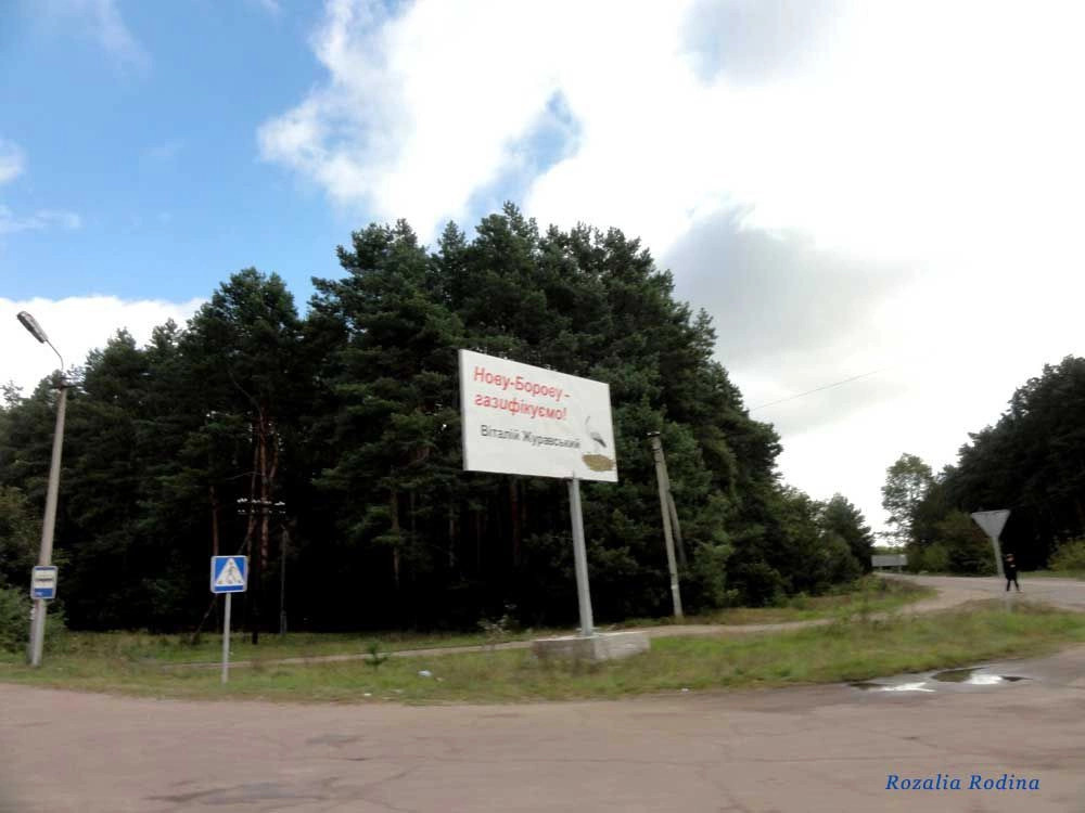 Новая Боровая