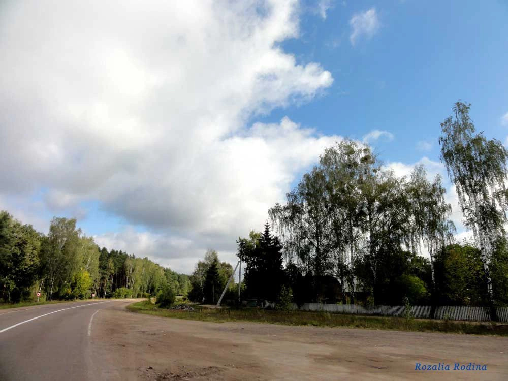 Новая Боровая