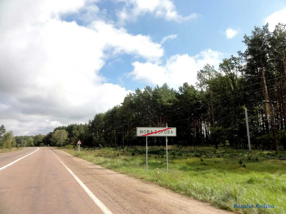 Новая Боровая