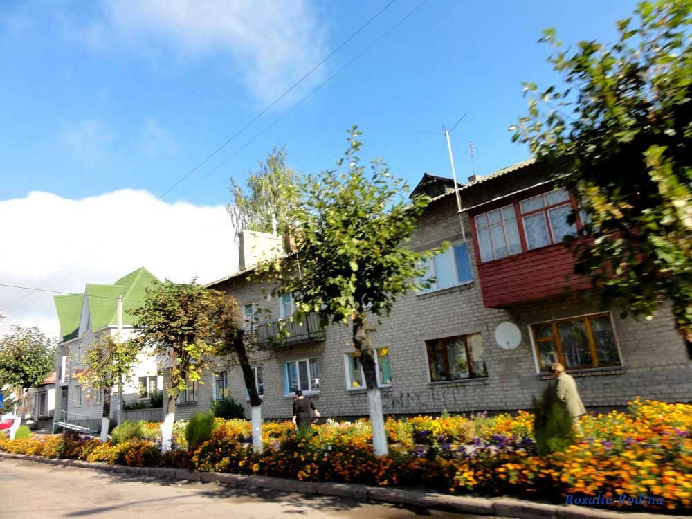 Черняховский район