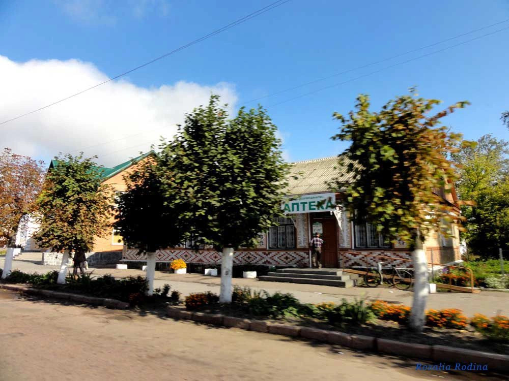Черняховский район