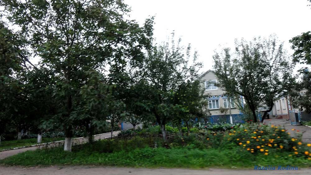 Попельня пгт