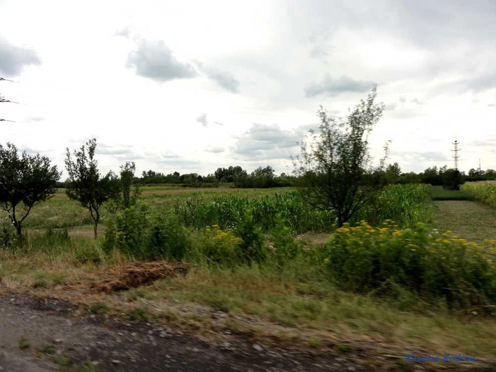 Береговский район