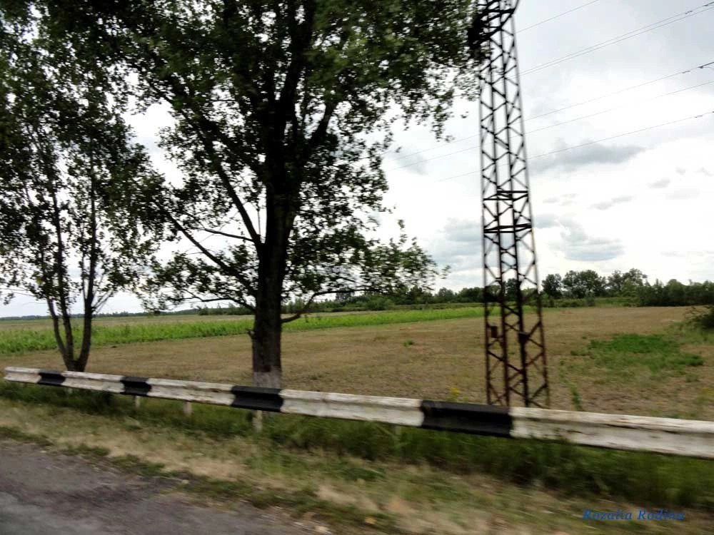 Береговский район