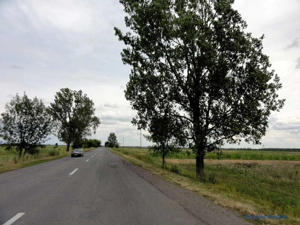 Береговский район