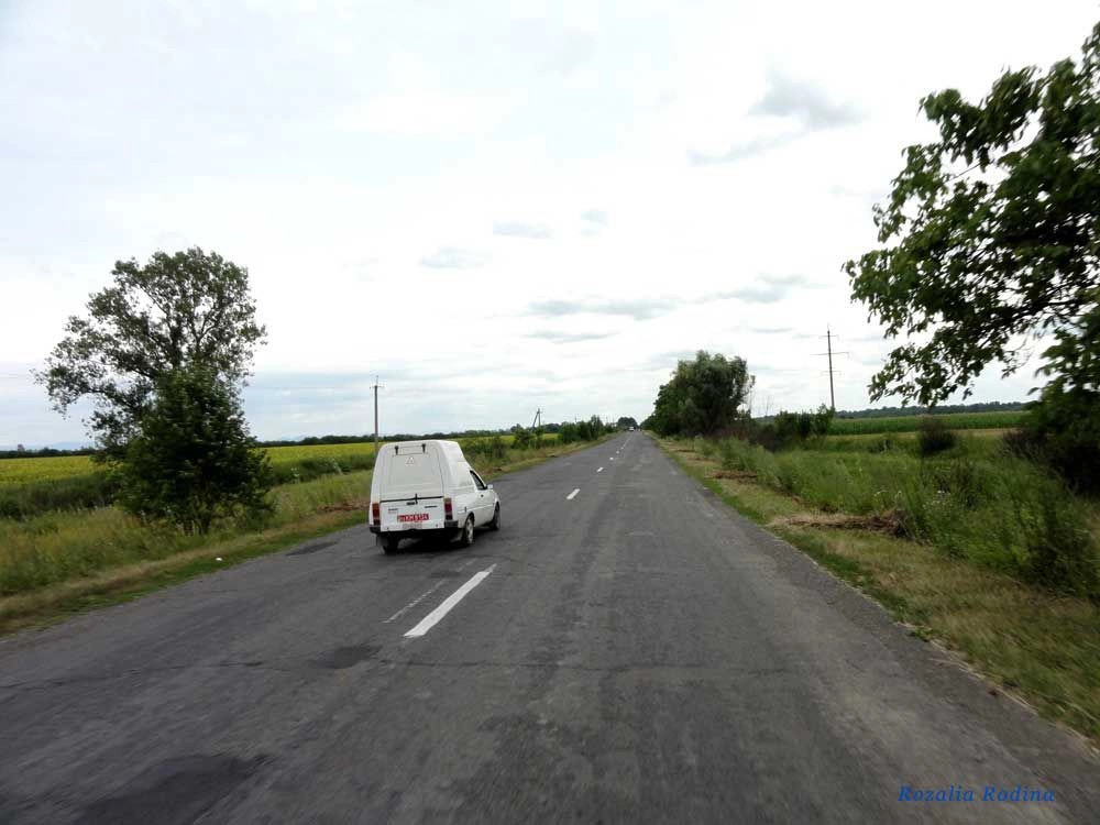 Береговский район