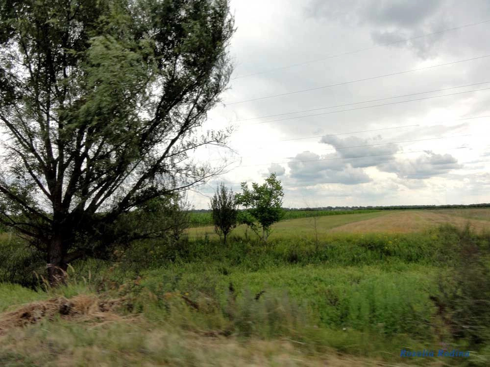 Береговский район