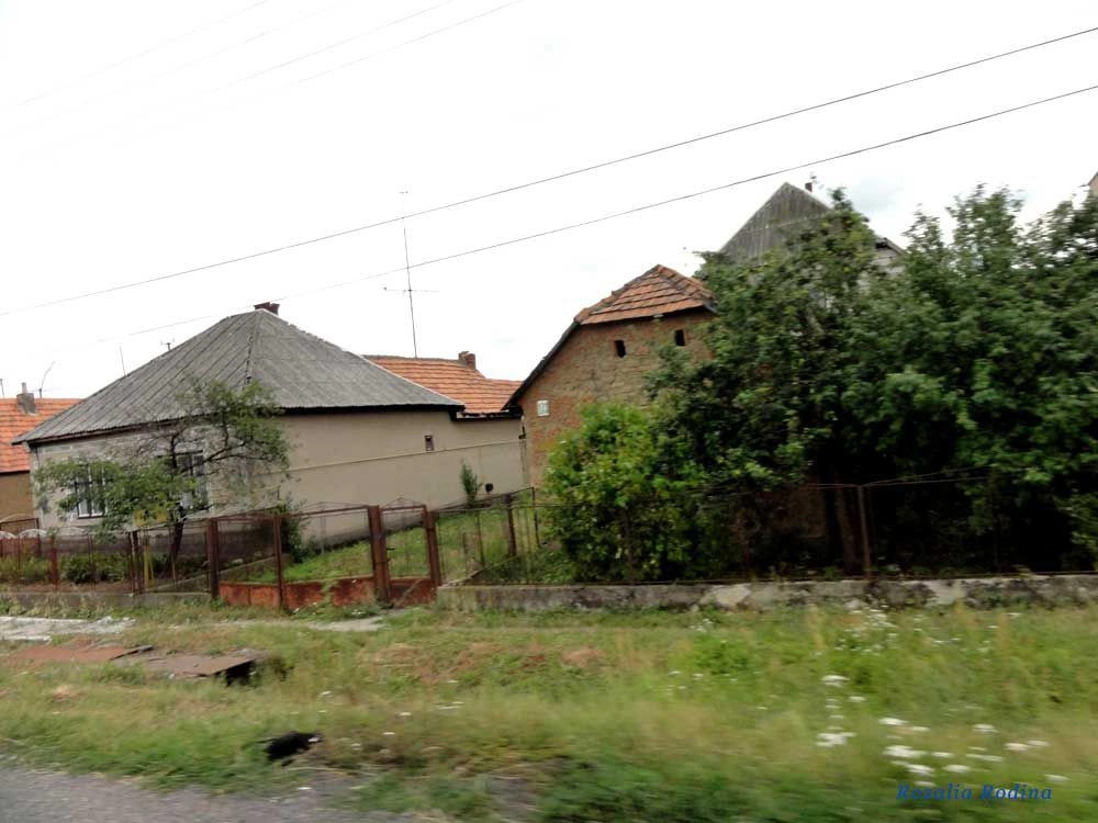 Береговский район