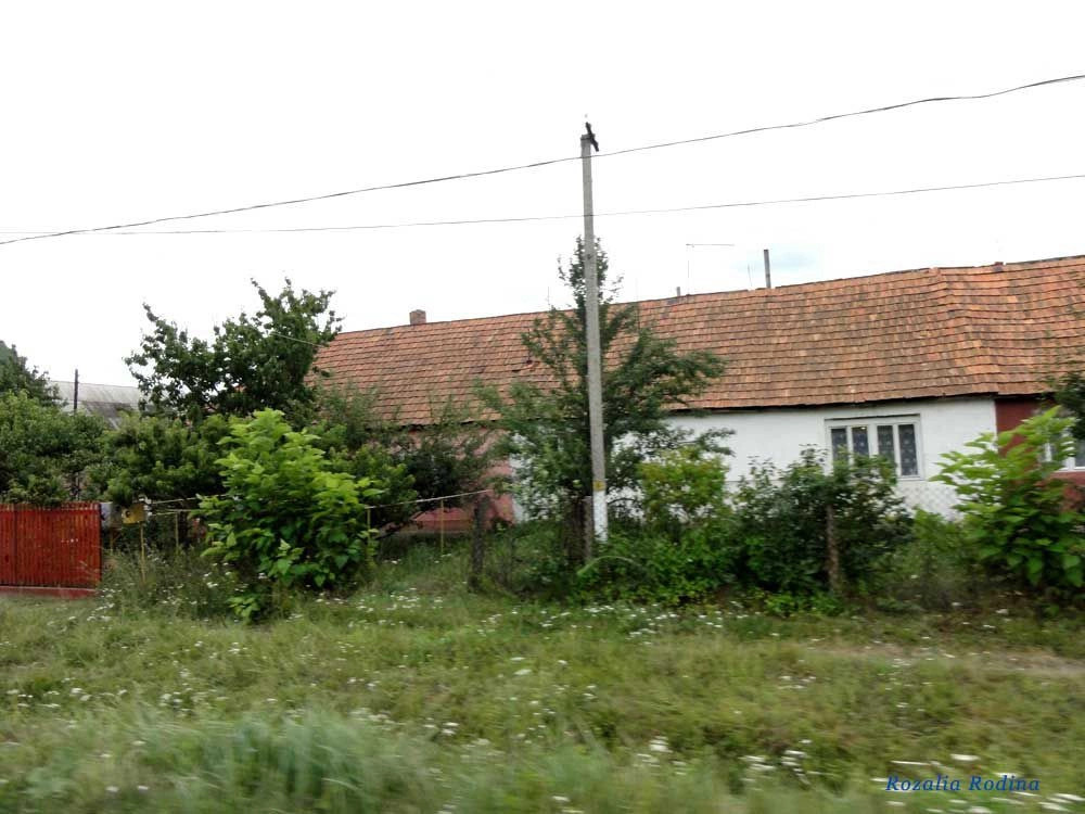 Береговский район