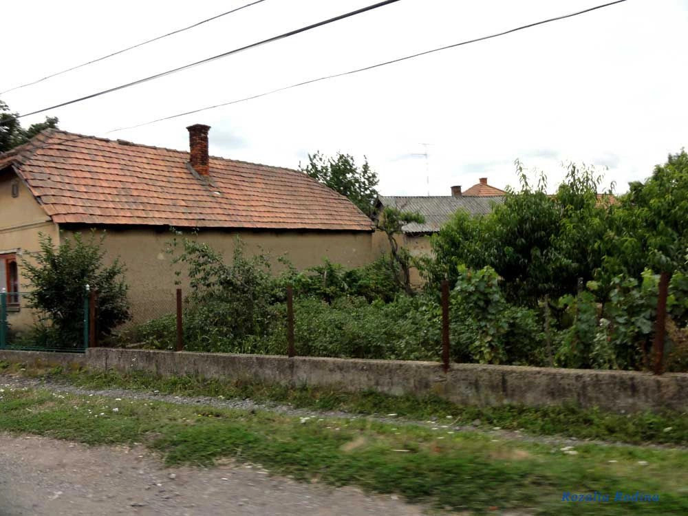 Береговский район