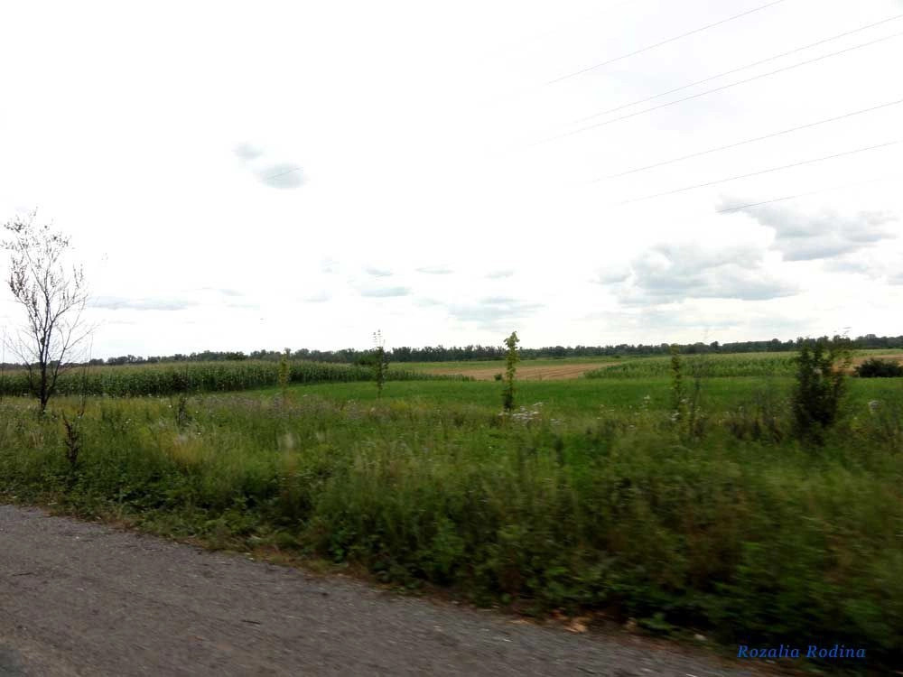 Виноградовский район