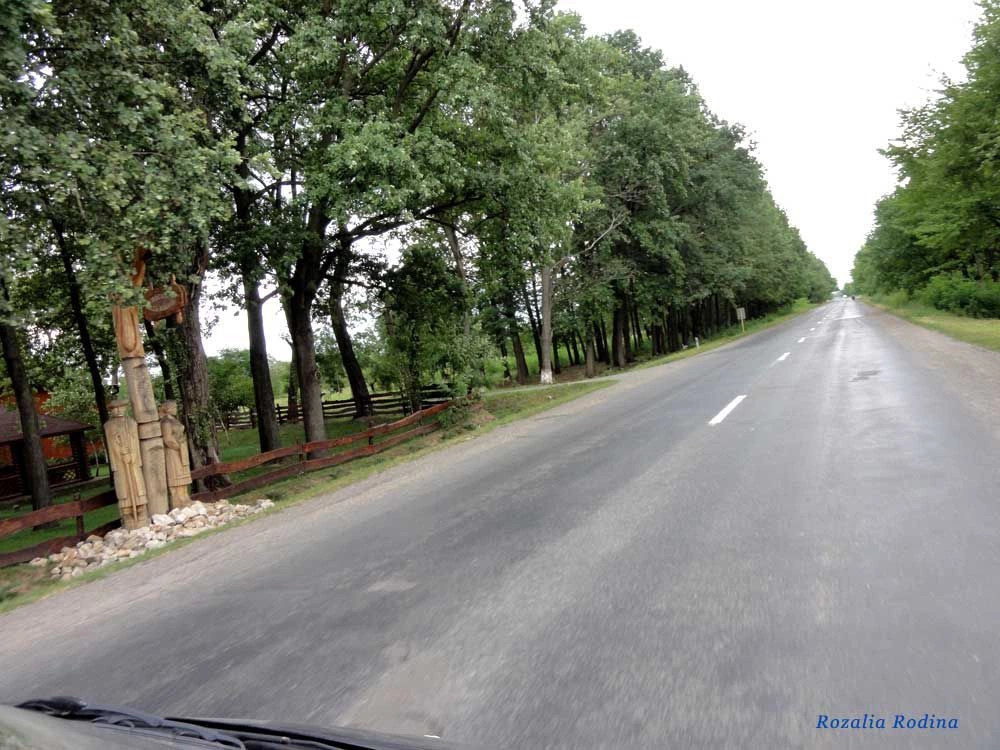 Виноградовский район