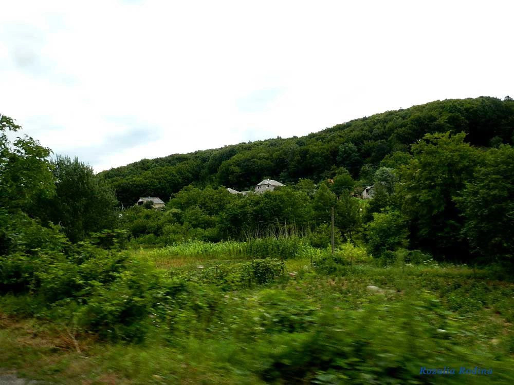 Виноградовский район