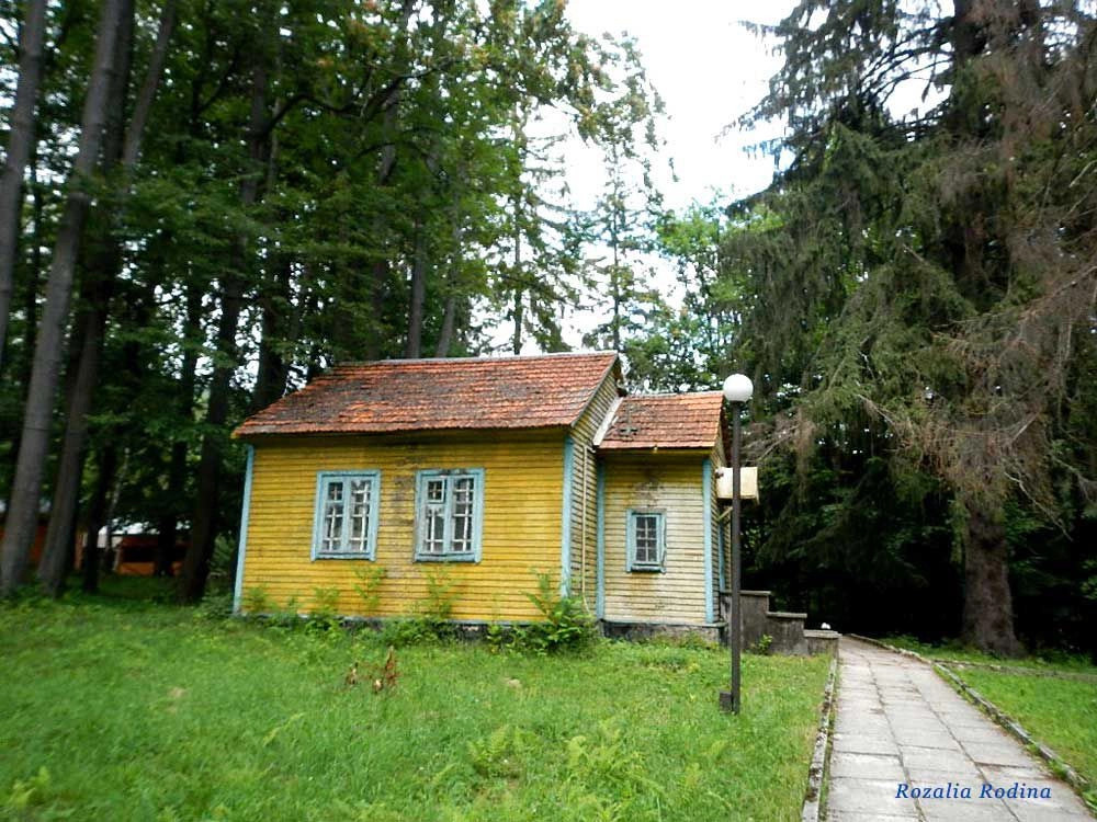 Мукачевский район
