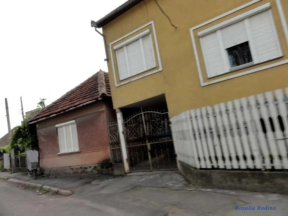 Мукачевский район