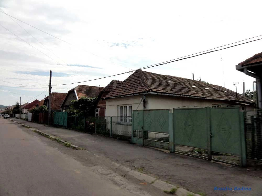 Мукачевский район
