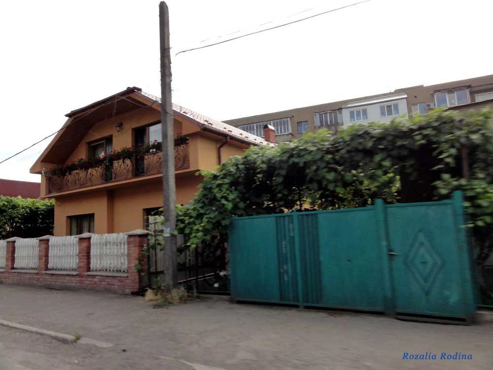 Мукачевский район