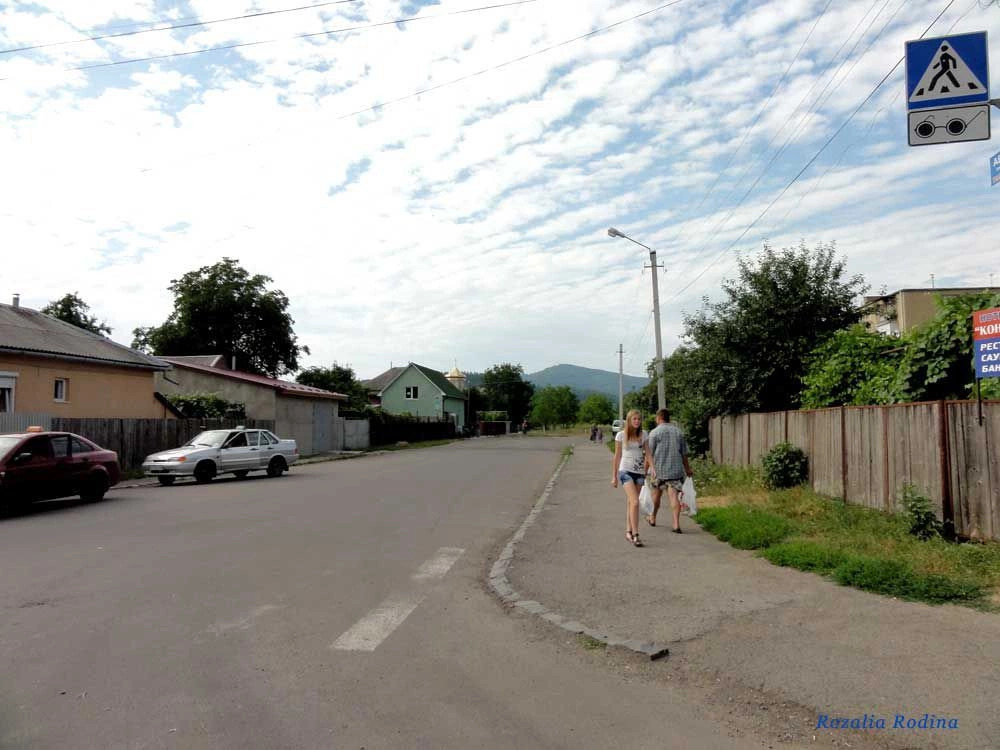 Мукачевский район